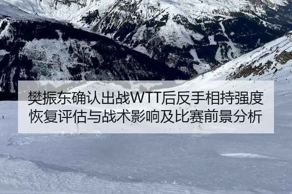 樊振东确认出战WTT后反手相持强度恢复评估与战术影响及比赛前景分析